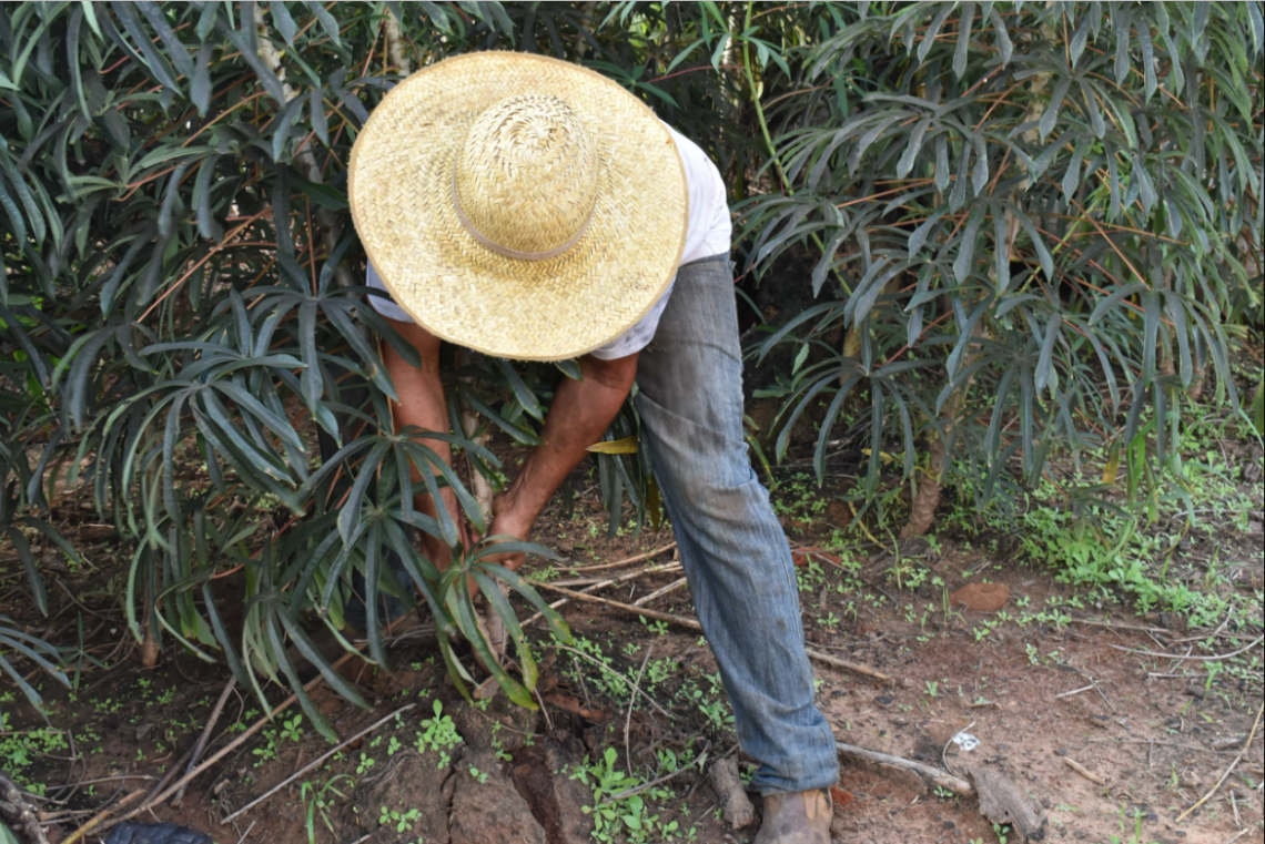 La Fundación ASISA y el MVEH dedican la pieza del mes de julio a la agricultura familiar paraguaya