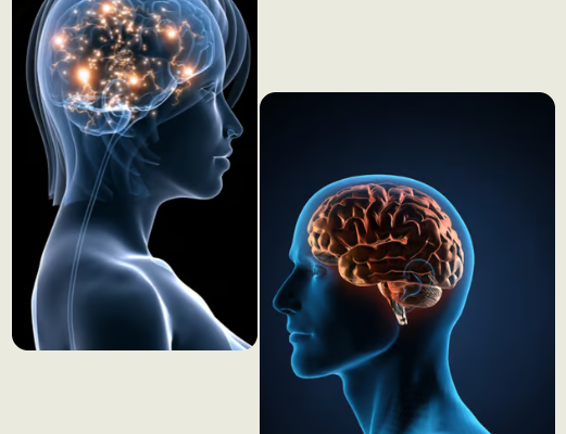 La Cátedra ASISA de Salud Cerebral y Cognitiva de la Universidad de Málaga convoca la Segunda Edición del Premio a la Mejor Tesis Doctoral 2024