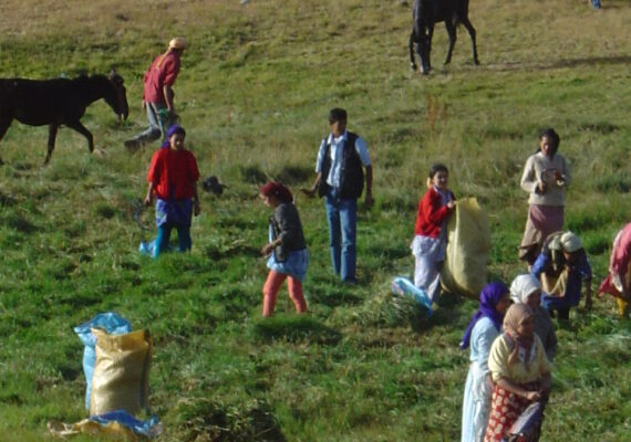 La Fundación ASISA y el MVEH dedican la pieza del mes de octubre a la importancia de las comunales pastoriles