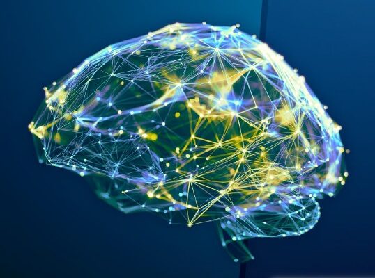 La Cátedra ASISA de Salud Cerebral y Cognitiva de la Universidad de Málaga publica su segundo cuaderno divulgativo