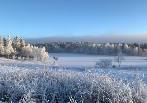 El Museo Virtual de Ecología Humana presenta la Pieza del mes, Justicia y pueblos indígenas en el Ártico: más allá de la geopolítica y la economía