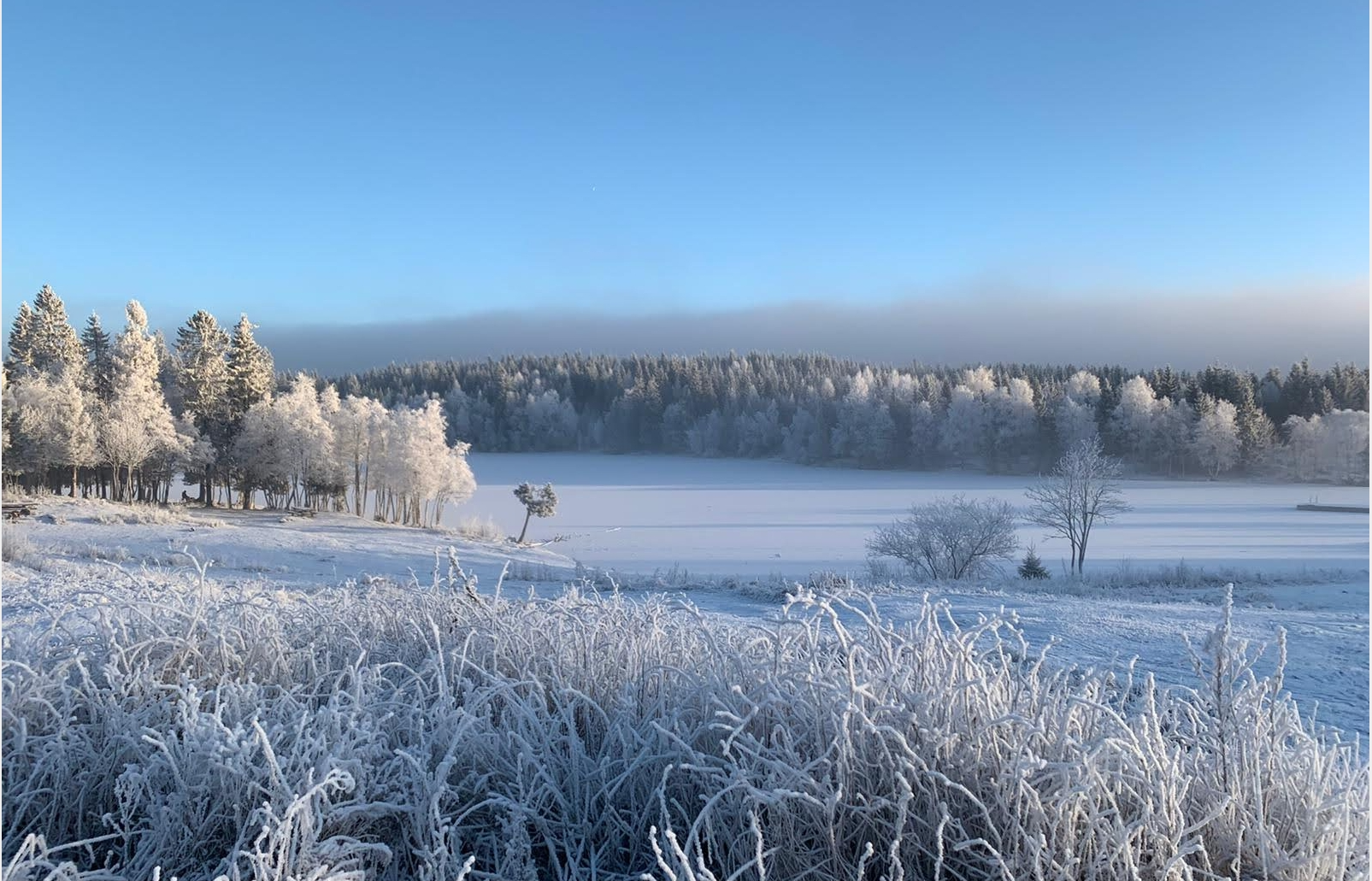 El Museo Virtual de Ecología Humana presenta la Pieza del mes, Justicia y pueblos indígenas en el Ártico: más allá de la geopolítica y la economía